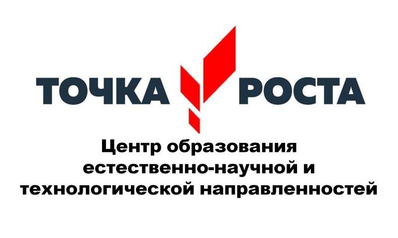 Логотип центра &quot;Точка роста&quot;.